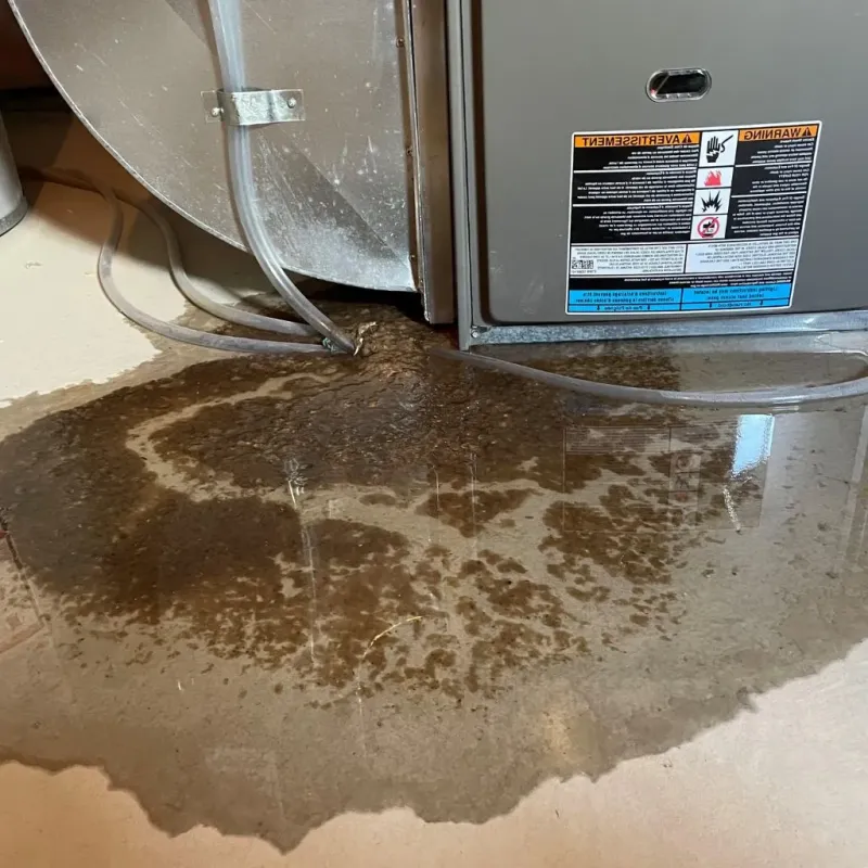 Pipe Burst and Leak Restoration in Banner Elk, NC